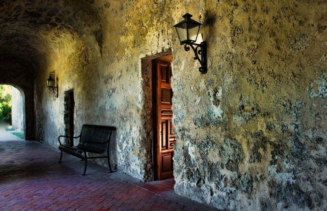 San Antonio: Recorrido de medio día por la gran ciudad histórica (tarde) - Foto 3
